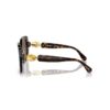 Sunglasses Oversized, Square Shape, Sk6001, Brown Sunglasses Oversized, Square Shape, Sk6001, Brown
