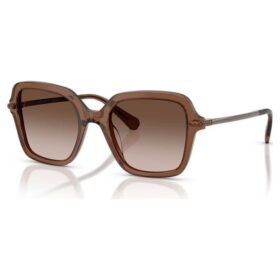 Sunglasses Square Shape, Brown