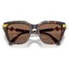 Sunglasses Square Shape, Brown Sunglasses Square Shape, Brown