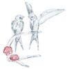 Swallows Swallows