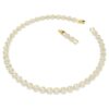 Una Angelic Necklace Round Cut, White, Gold-Tone Plated Una Angelic Necklace Round Cut, White, Gold-Tone Plated