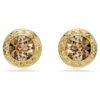 Una Angelic Stud Earrings Round Cut, Caramel, Gold-Tone Plated Una Angelic Stud Earrings Round Cut, Caramel, Gold-Tone Plated