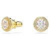 Una Angelic Stud Earrings Round Cut, Gold Tone, Gold-Tone Plated Una Angelic Stud Earrings Round Cut, Gold Tone, Gold-Tone Plated